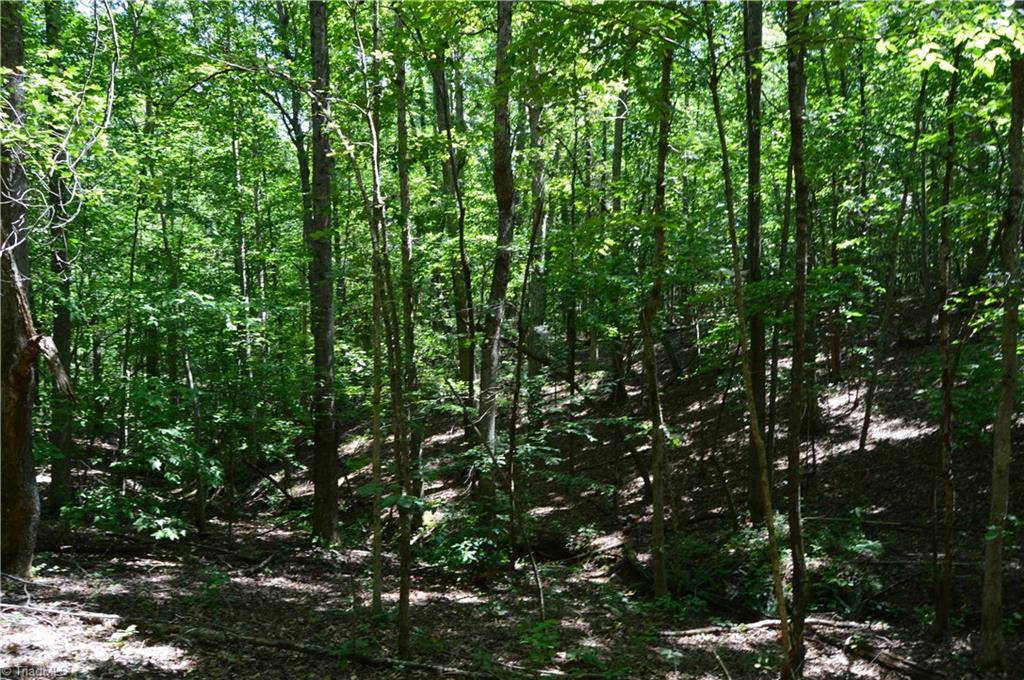 0 Roach Road Reidsville, NC 27320 - Photo 9 of 17