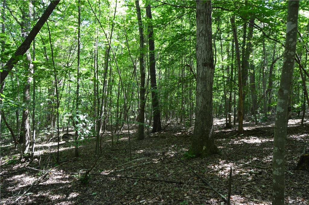0 Roach Road Reidsville, NC 27320 - Photo 10 of 17