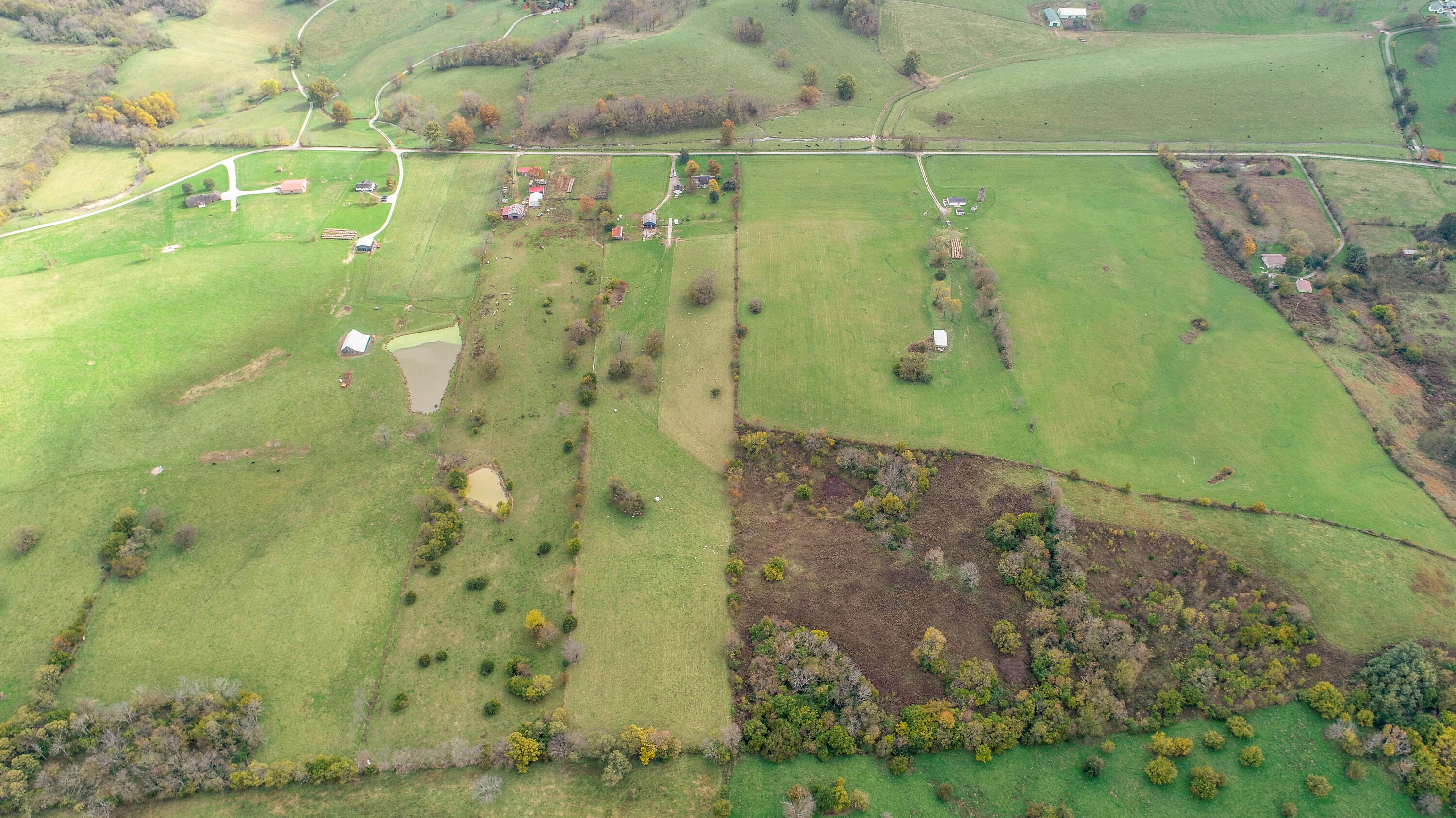 545 Stone Road Paris, KY 40361 - Photo 30 of 35 DJI_0054