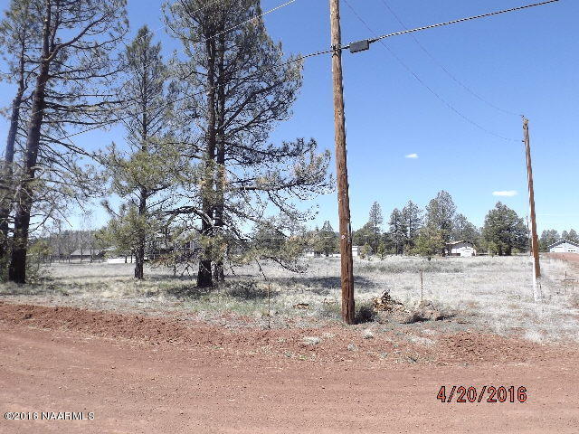 13451 Kings Deer Road Parks, AZ 86018 - Photo 3 of 5 DSCF4411