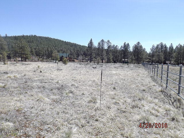 13451 Kings Deer Road Parks, AZ 86018 - Photo 4 of 5 DSCF4413