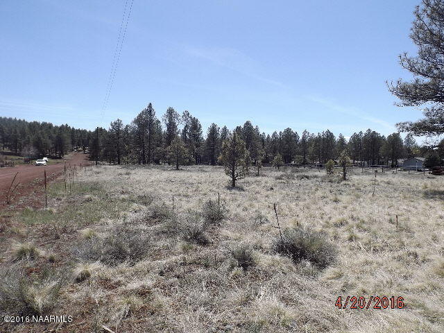 13451 Kings Deer Road Parks, AZ 86018 - Photo 5 of 5 DSCF4414