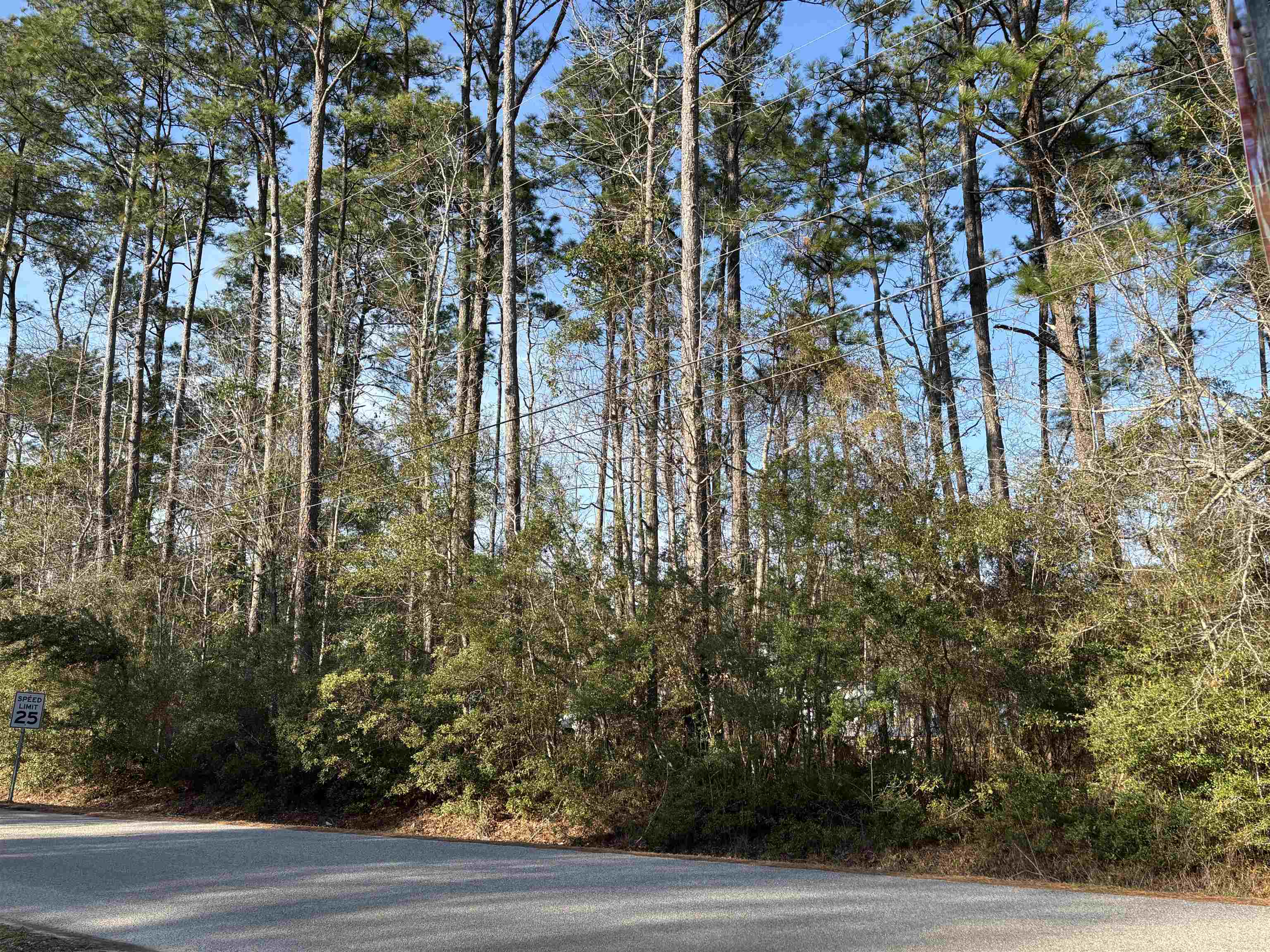 867 Kings River Road Pawleys Island, SC 29585 - Photo 1 of 5 Gallery Image 1
