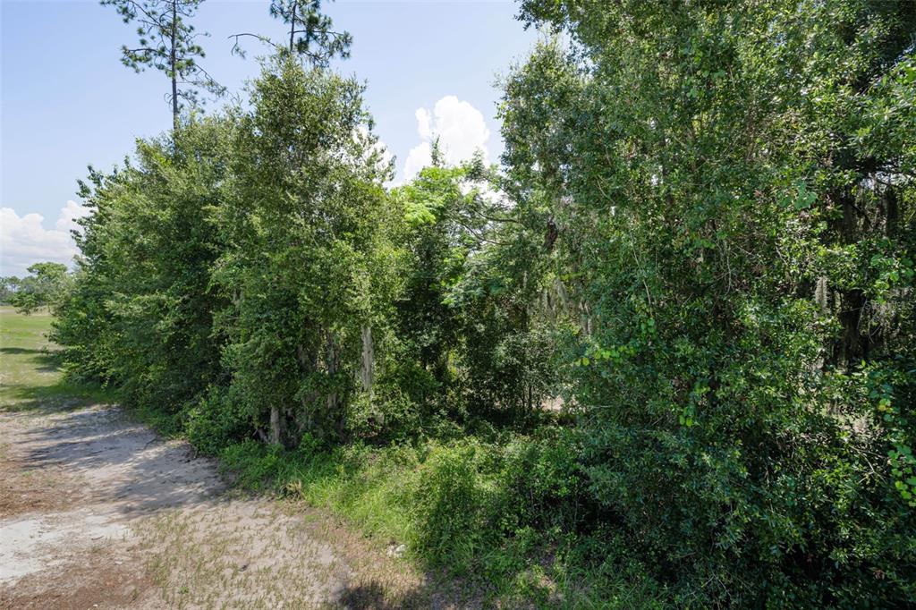 6780 Emerald Spring Loop New Port Richey, FL 34653 - Photo 48 of 83 Gallery Image 48