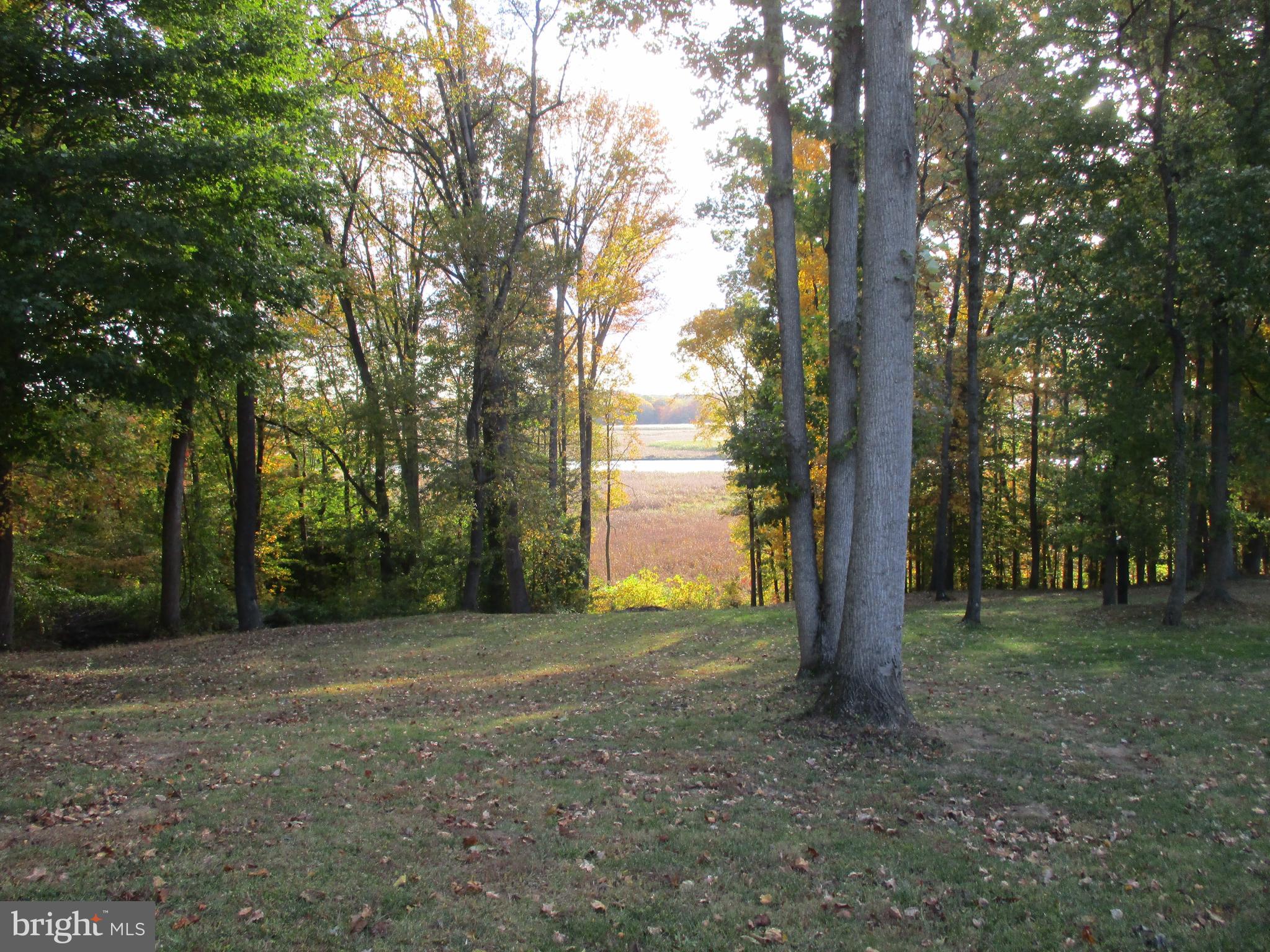 Beautiful View Lot Oldfield Point Road Elkton, MD 21921 - Photo 13 of 44 a view of a trees with a tree