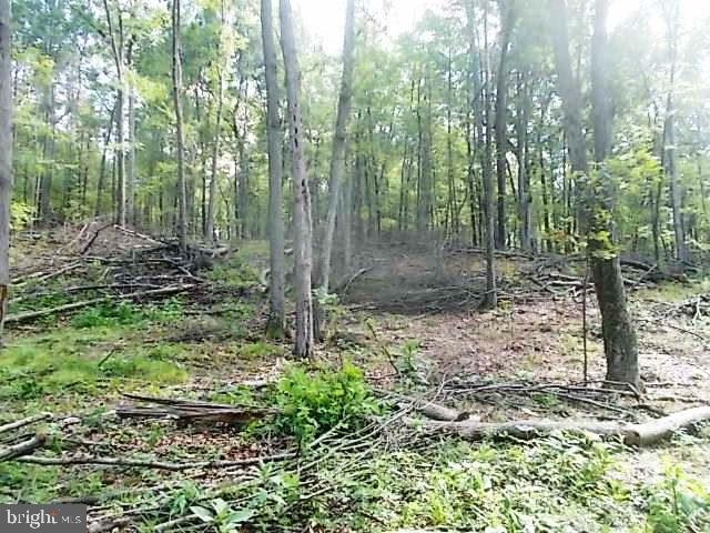 601 Hunters Valley Road, Unit LOT 8 Liverpool, PA 17045 - Photo 4 of 9 Gallery Image 4
