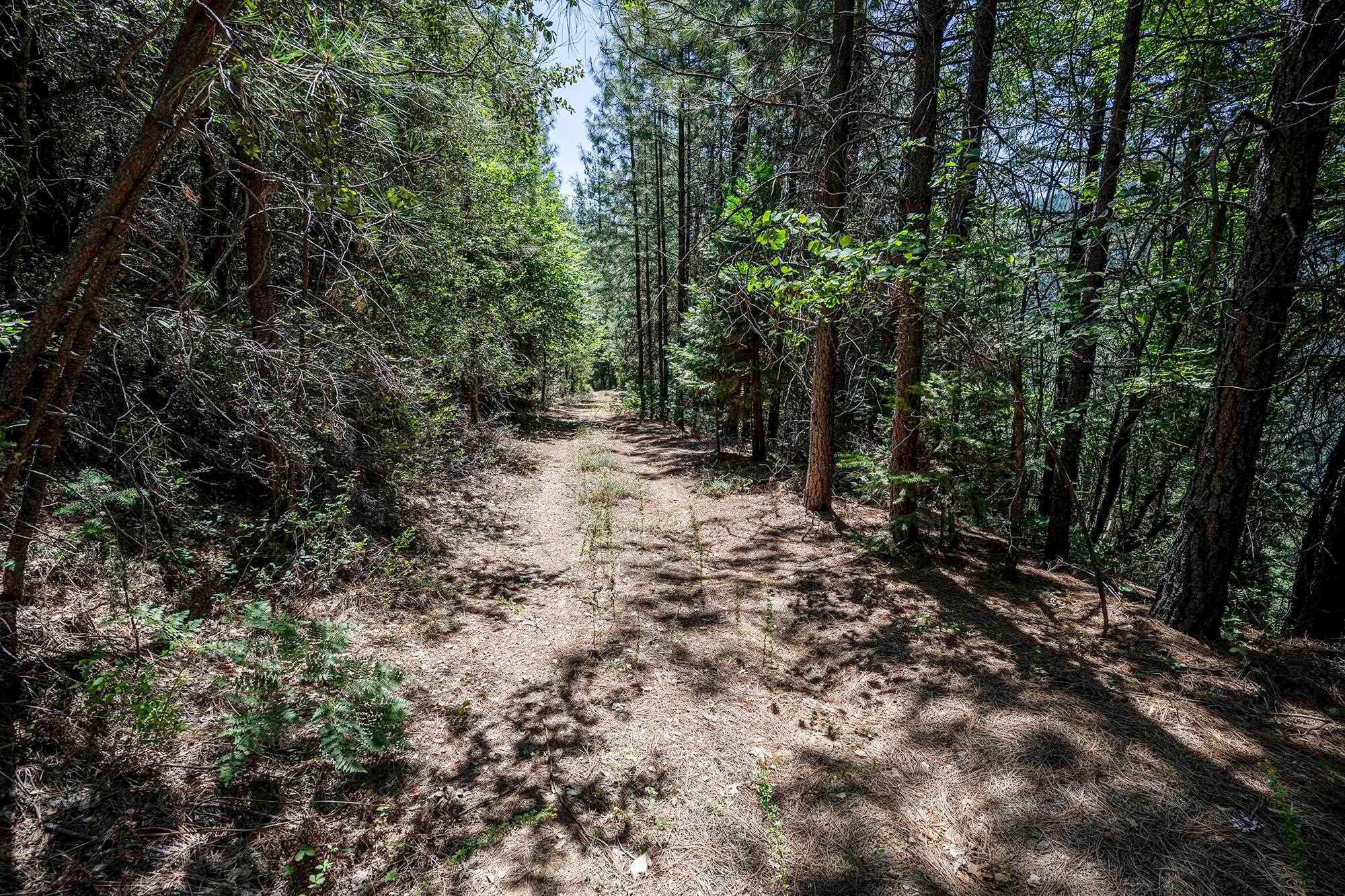Girard Ridge Castella, CA 96017 - Photo 7 of 13 Gallery Image 7