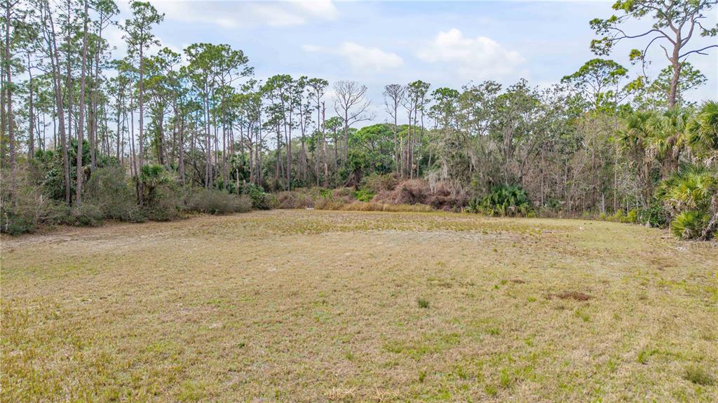 a view of a yard with plants and trees