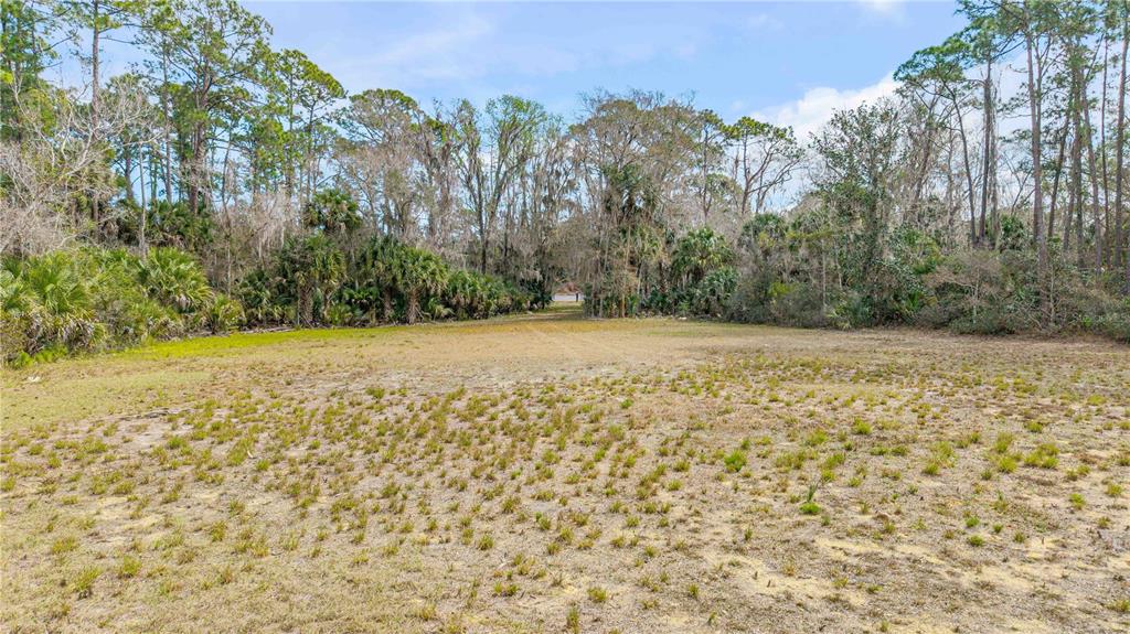 370 Highway 1 New Rochelle, NY 10801 - Photo 6 of 13 a view of a yard with a tree