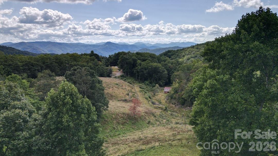 745 Broom Road Tuckasegee, NC 28783 - Photo 9 of 42