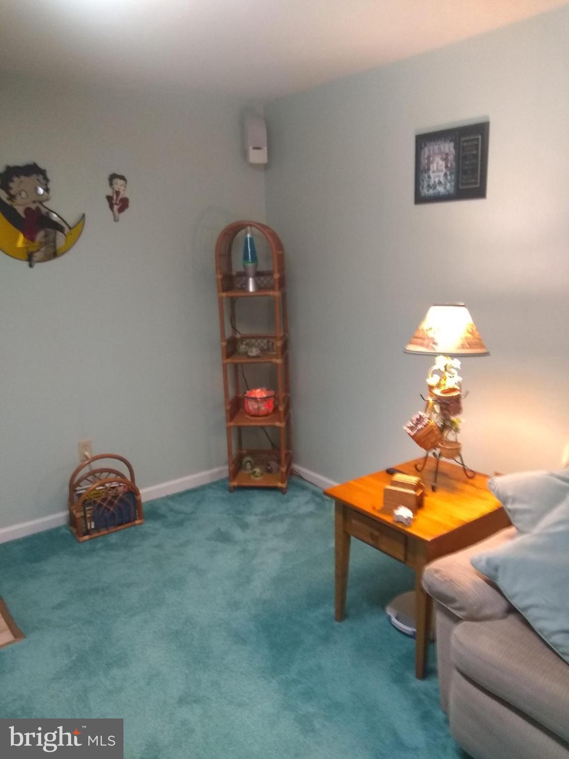 1941 Oak Leaf Lane Holmes, PA 19043 - Photo 31 of 44 a room with furniture and a potted plant