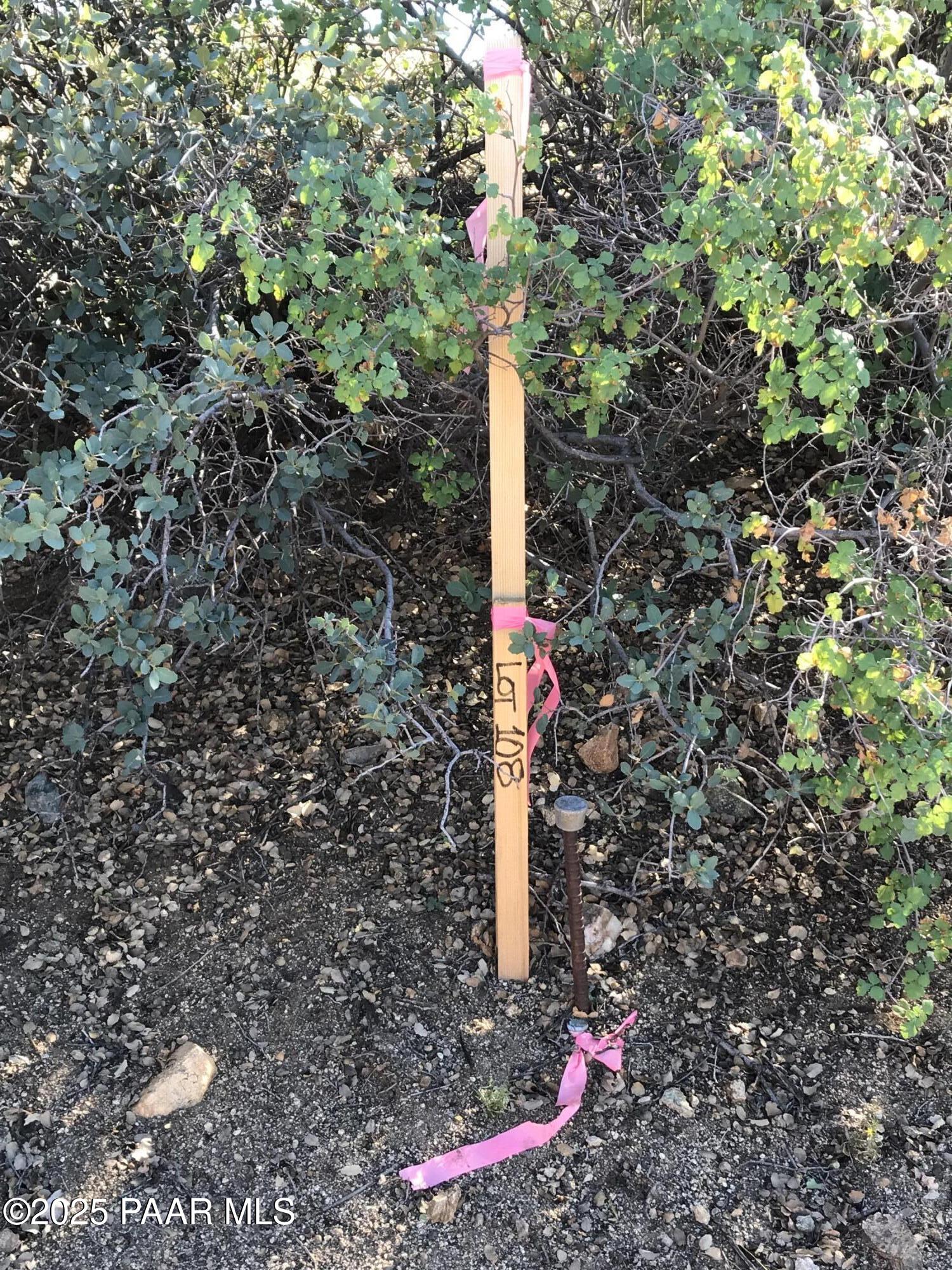 8335 West Barrington Road Wilhoit, AZ 86332 - Photo 12 of 13 a street sign on a sidewalk next to a road