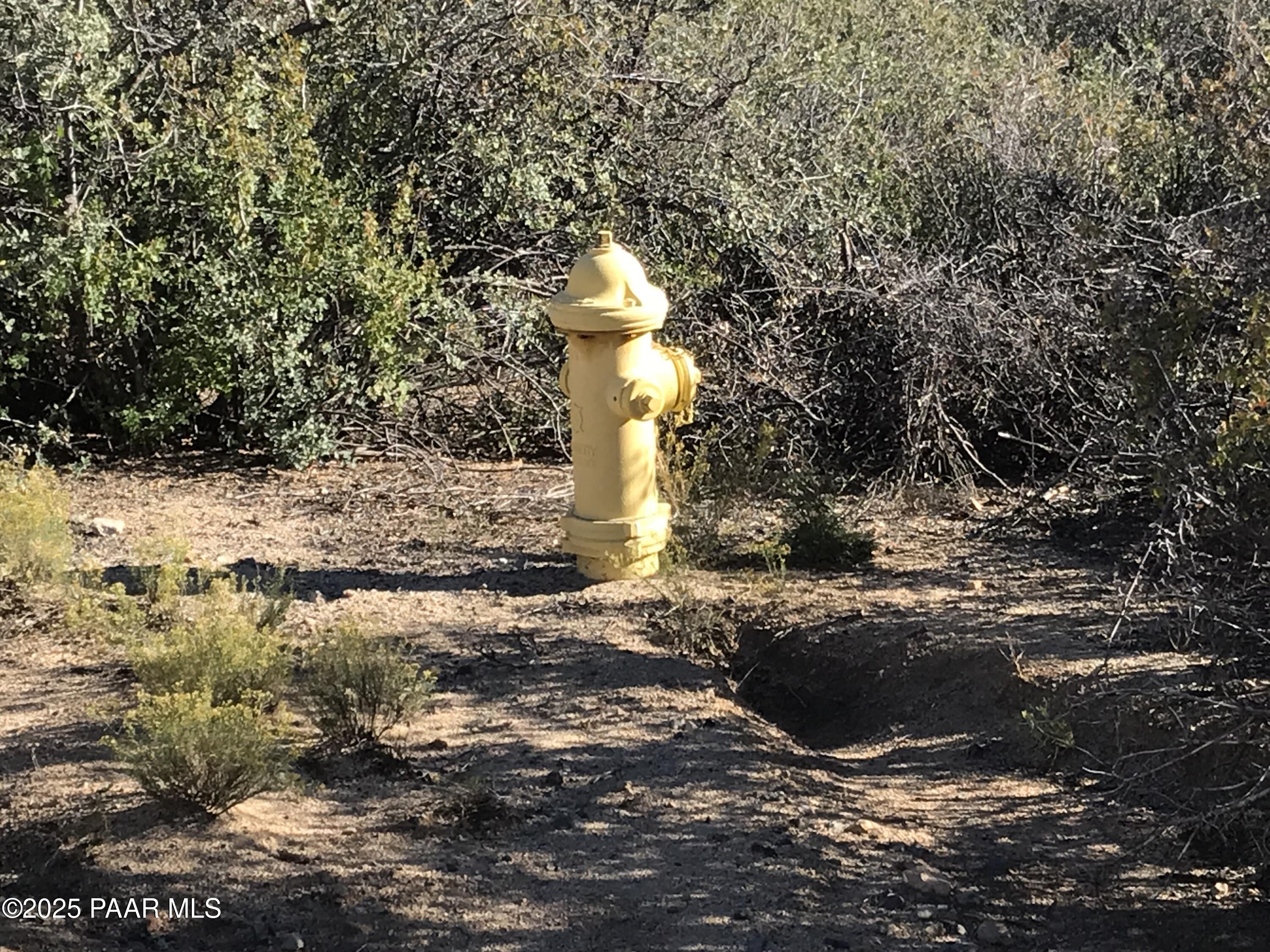 8335 West Barrington Road Wilhoit, AZ 86332 - Photo 4 of 13 a view of a yard with a tree