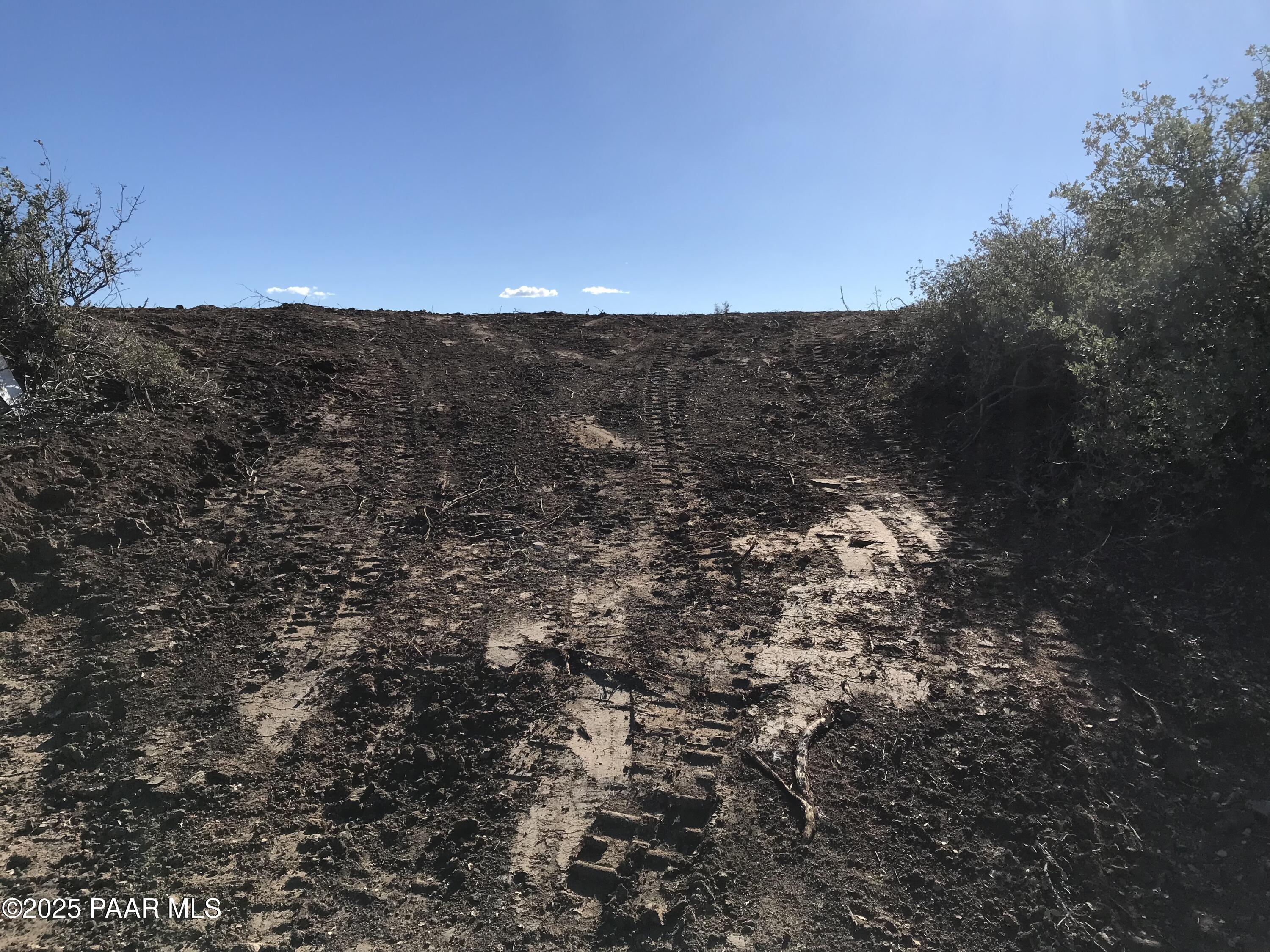 8335 West Barrington Road Wilhoit, AZ 86332 - Photo 9 of 13 a view of a dry yard with mountains in the background