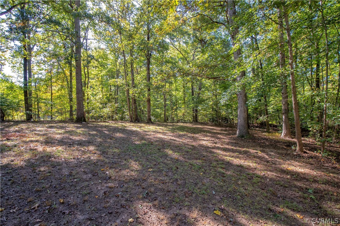 3087 Maidens Road Powhatan, VA 23139 - Photo 9 of 30 Gallery Image 9