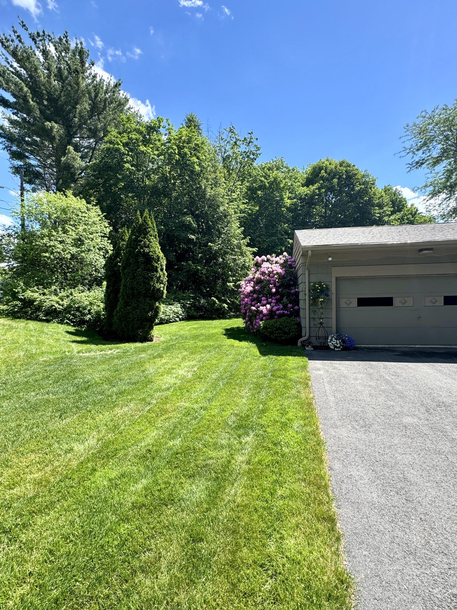 281 Clyde Road Bangor, ME 04401 - Photo 93 of 108 IMG_9056