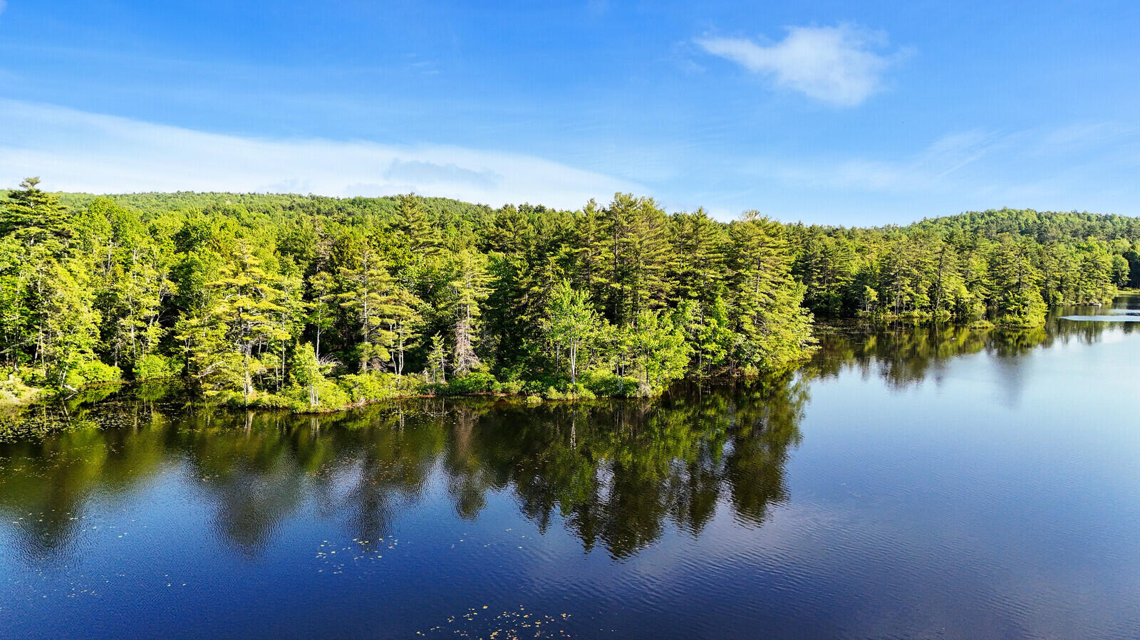 250 Beaver Ridge Road Palermo, ME 04354 - Photo 13 of 18 Pond View