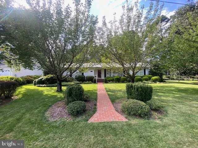 a garden view with swimming pool and green space