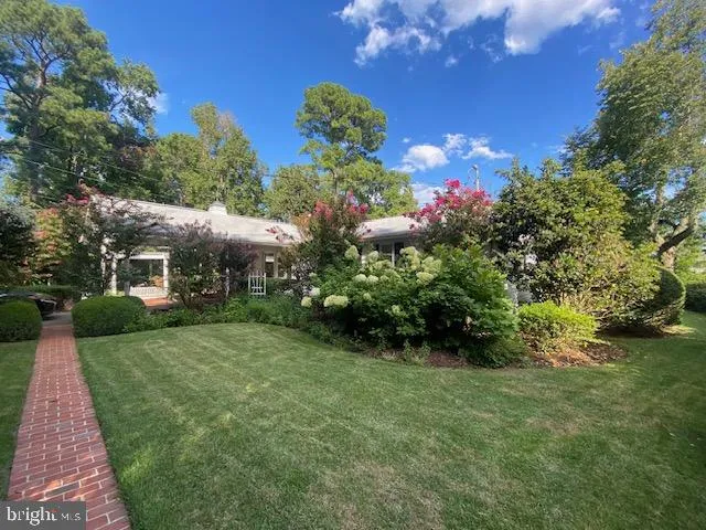 a view of beach and ocean