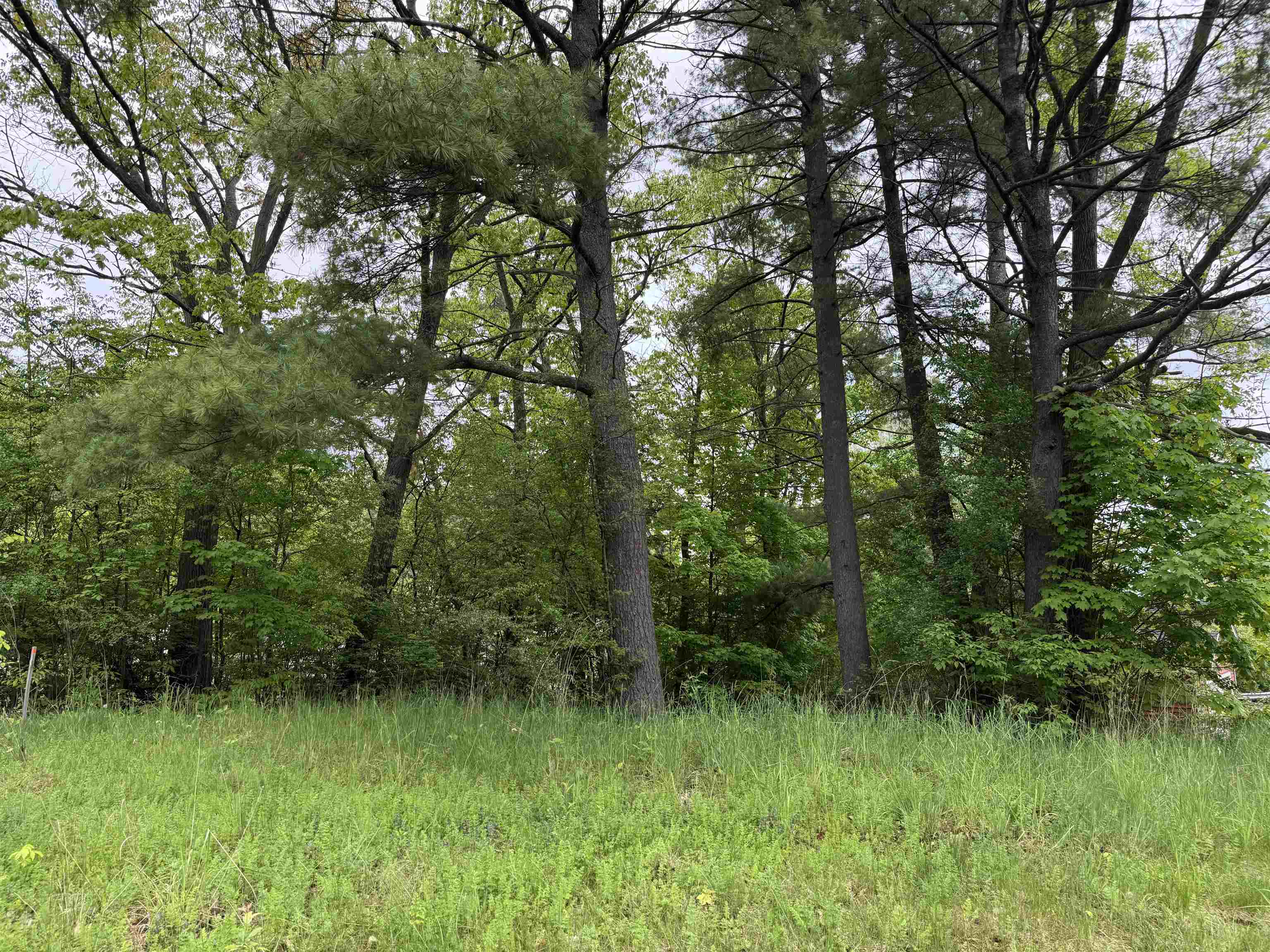 7 River Street, Unit 2 Milton, VT 05468 - Photo 5 of 13