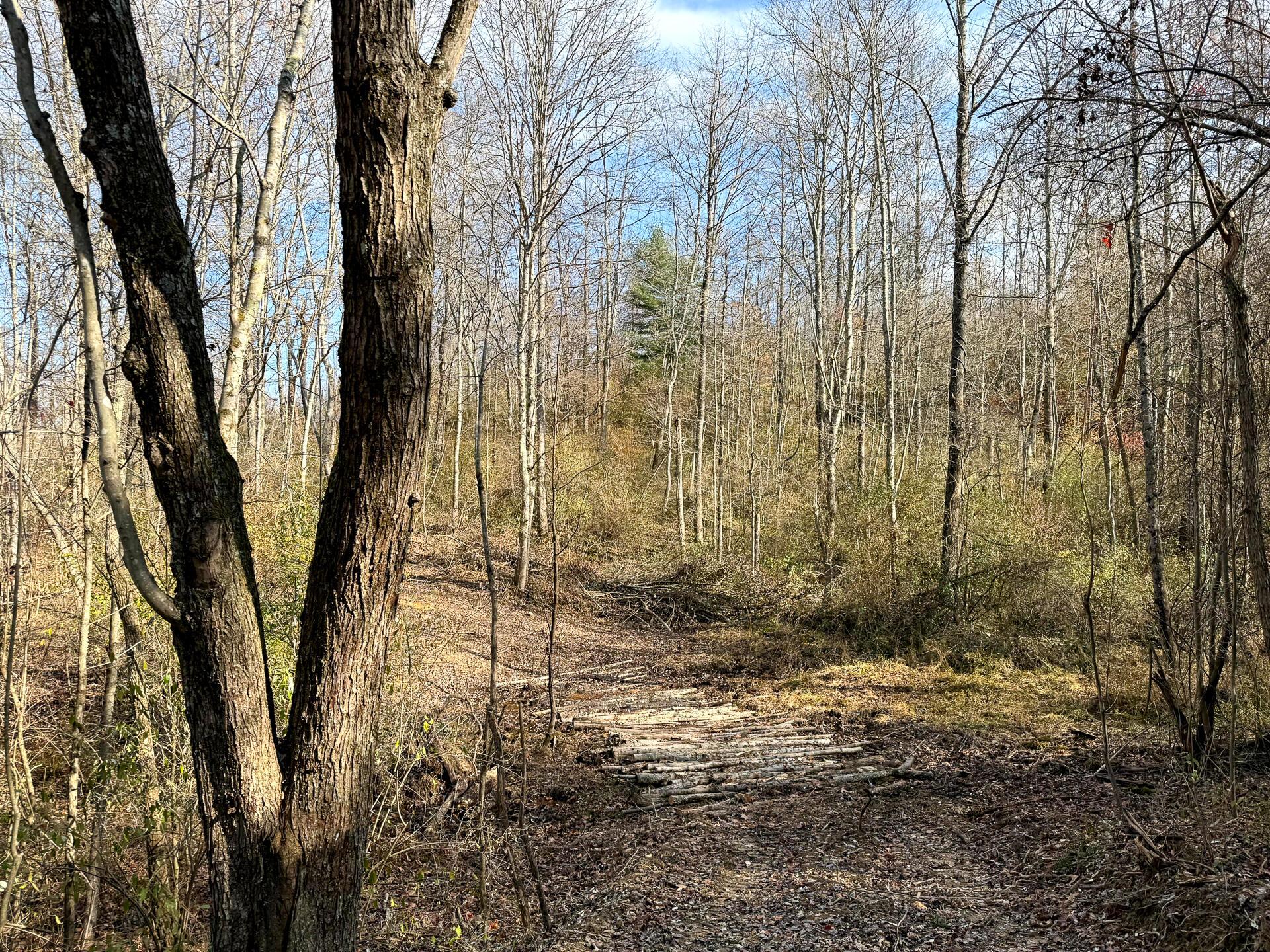 0 Dutch Ridge Road Southeast, Unit WOODS TURKEY RUN TRACT 2) New Lexington, OH 43764 - Photo 23 of 37