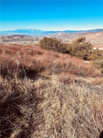 a view of a dry yard