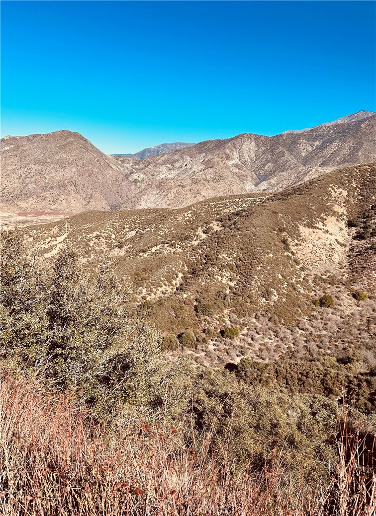 37551 Pisgah Peak Road Yucaipa, CA 92399 - Photo 5 of 10 a view of a dry yard