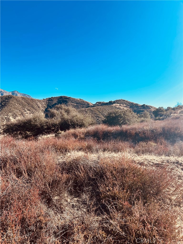 37551 Pisgah Peak Road Yucaipa, CA 92399 - Photo 7 of 10 a view of mountain