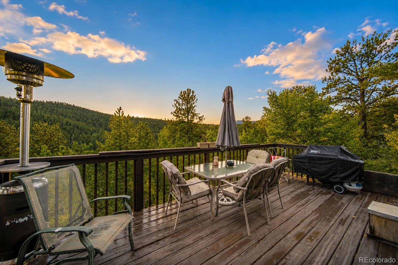 229 McDougal Road Bailey, CO 80421 - Photo 5 of 27