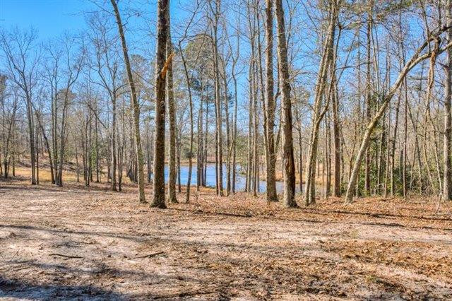Parcel B Old Dibble Road Aiken, SC 29803 - Photo 9 of 17