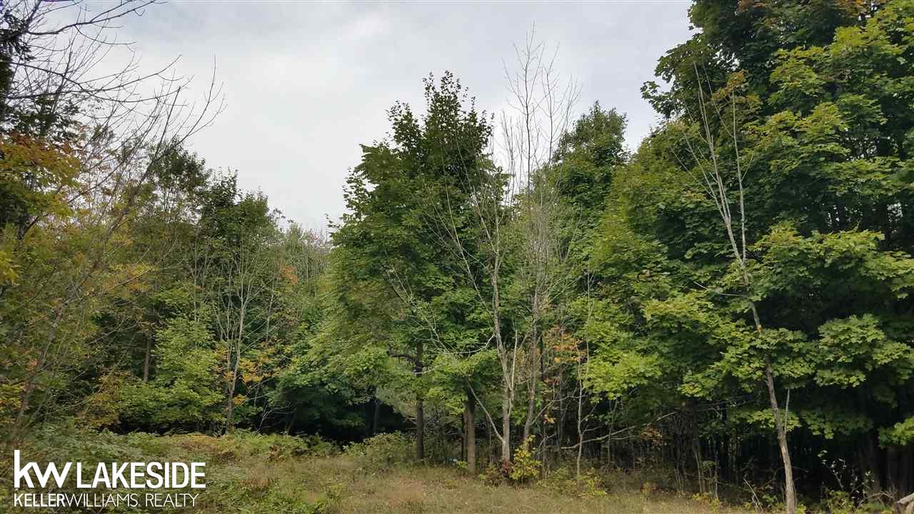 Nhn North 27th Road Mesick, MI 49668 - Photo 5 of 11