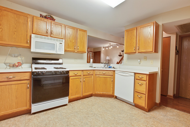274 West Treehouse Lane Round Lake, IL 60073 - Photo 14 of 19