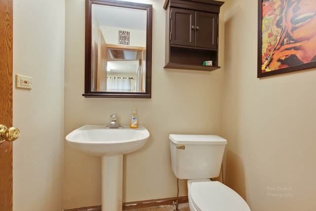 274 West Treehouse Lane Round Lake, IL 60073 - Photo 8 of 19