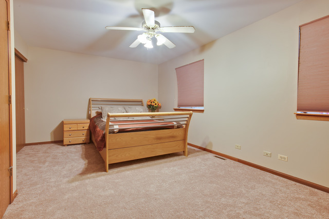 274 West Treehouse Lane Round Lake, IL 60073 - Photo 10 of 19
