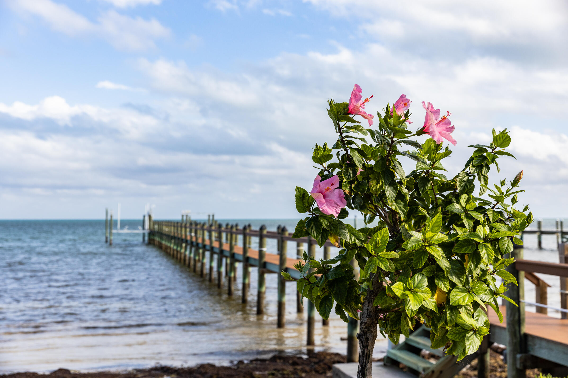 89301 Old State Road Tavernier, FL 33070 - Photo 48 of 99 a front view of a house with a yard