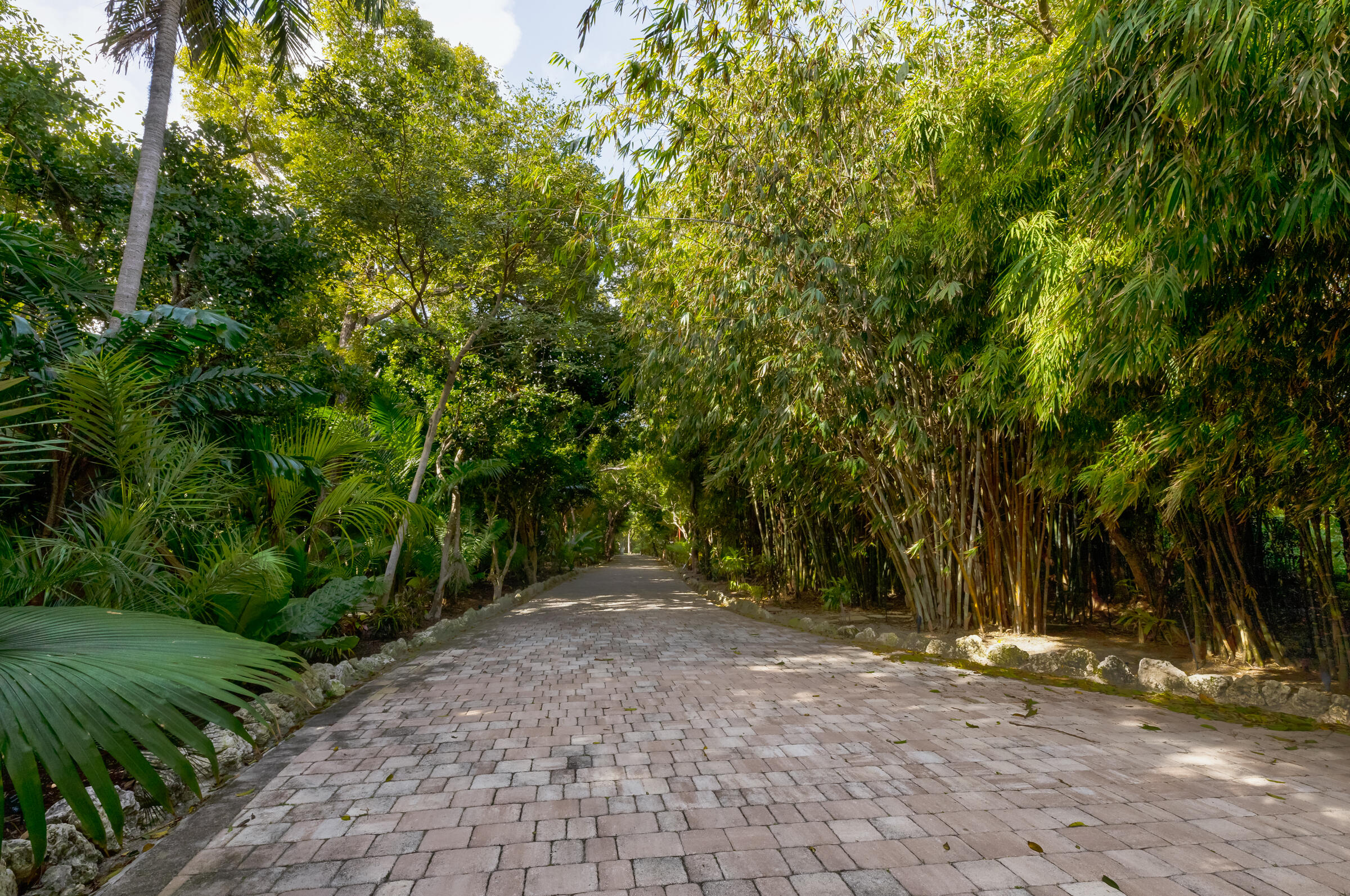 89301 Old State Road Tavernier, FL 33070 - Photo 88 of 99 a view of a yard with plants and trees