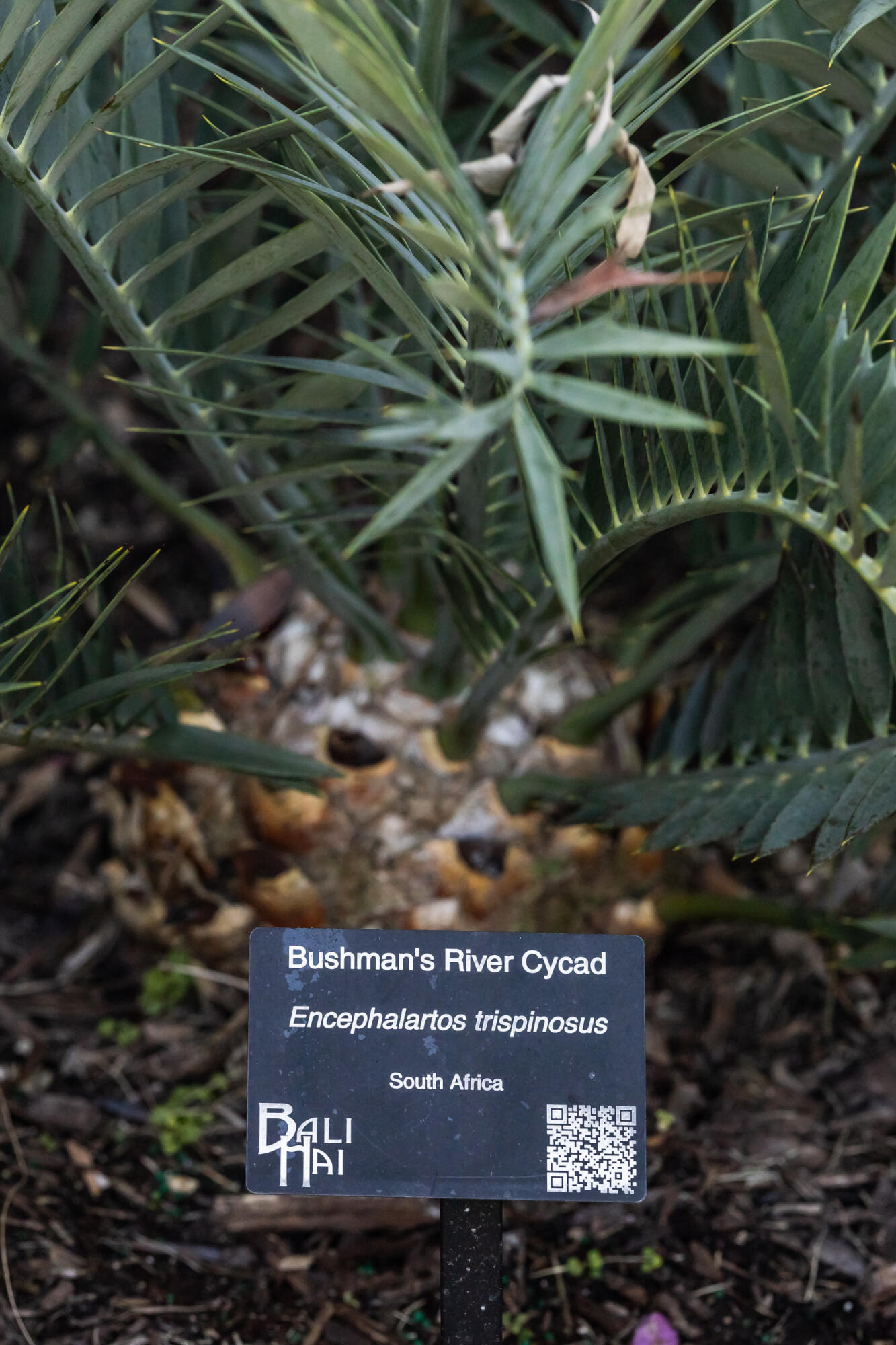 89301 Old State Road Tavernier, FL 33070 - Photo 98 of 99 a view of a parking area