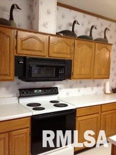 824 Springer Ridge Road Carbondale, IL 62902 - Photo 8 of 21