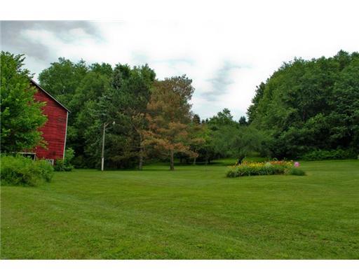175 Brent Road Grove City, PA 16127 - Photo 9 of 15 Land. Pear,cherry ,apple, and plum trees