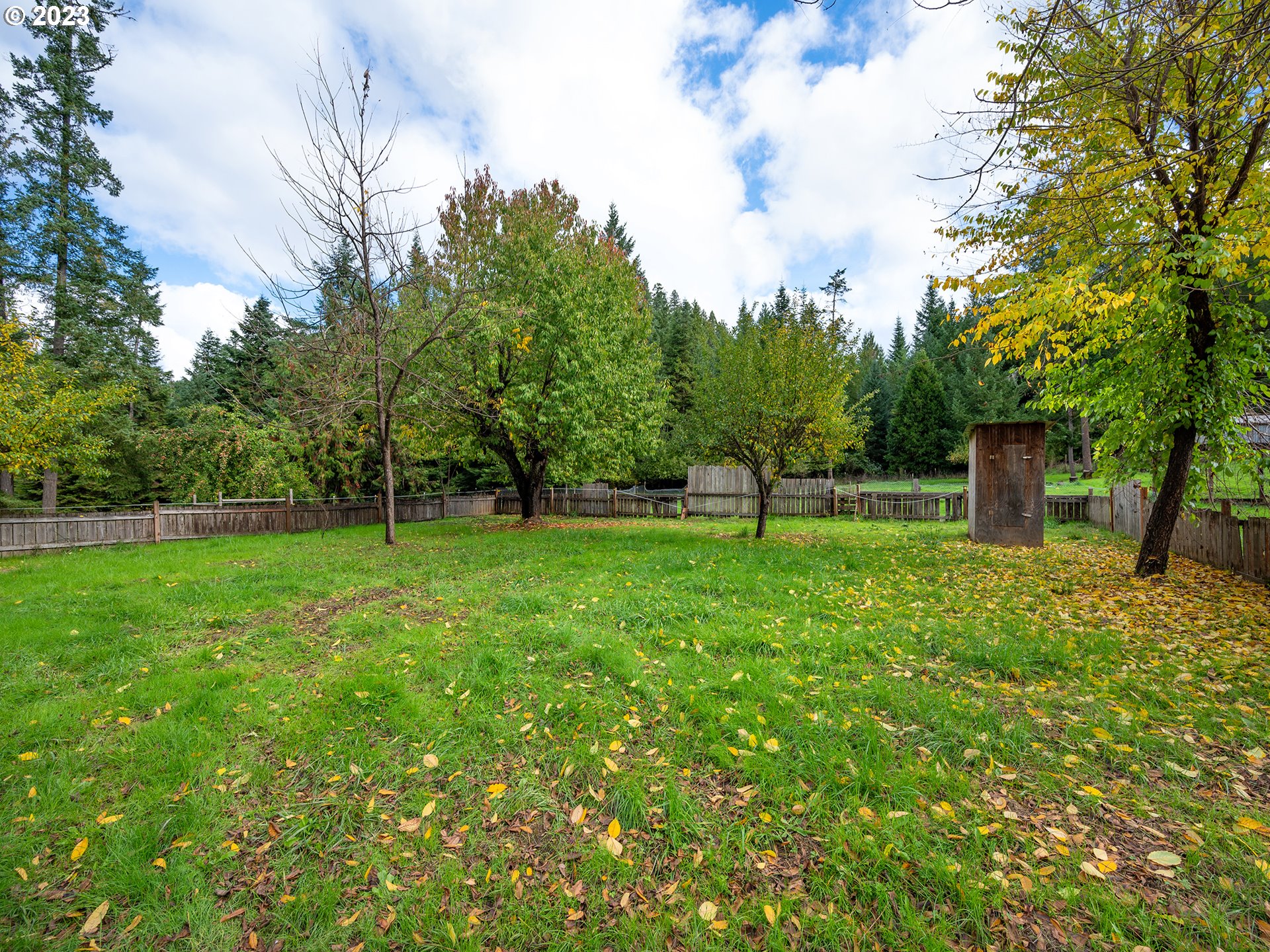 1590 Romie Howard Road Yoncalla, OR 97499 - Photo 34 of 48 a view of a park with large trees