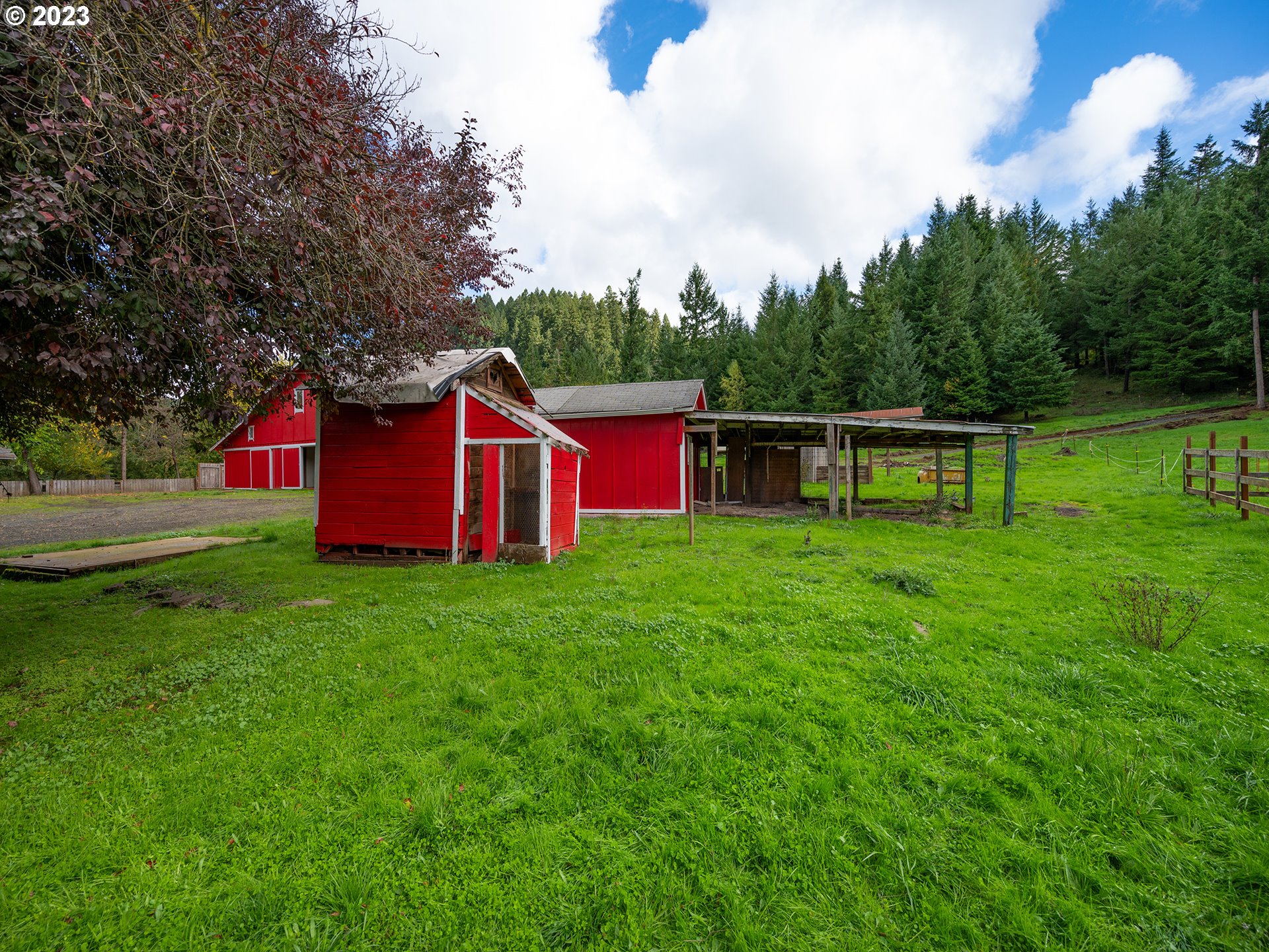 1590 Romie Howard Road Yoncalla, OR 97499 - Photo 38 of 48 a view of backyard with garden and trees