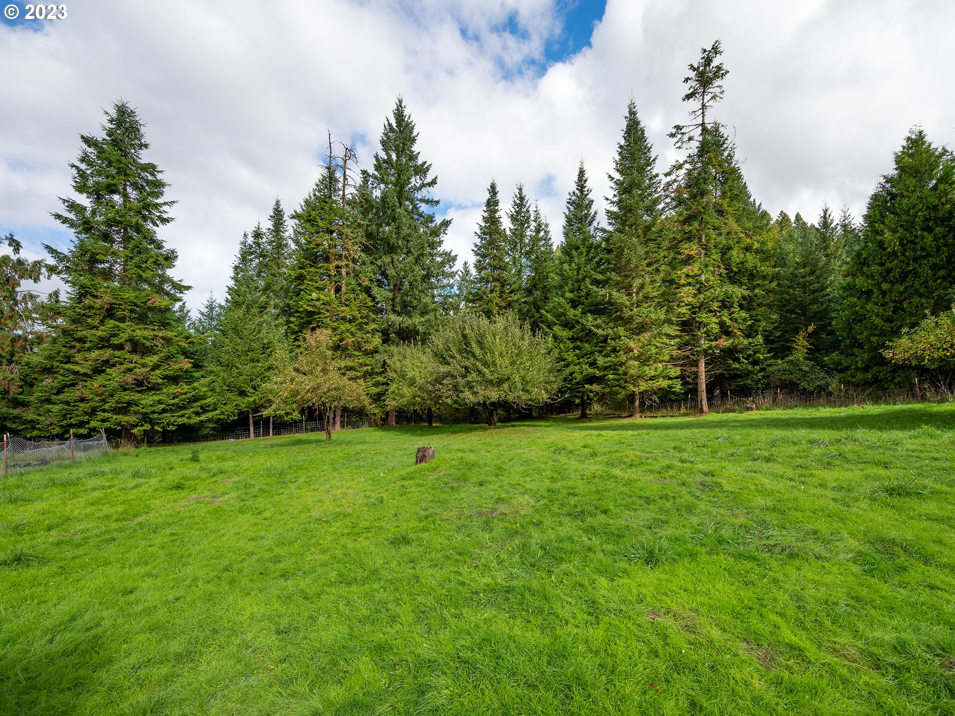 1590 Romie Howard Road Yoncalla, OR 97499 - Photo 43 of 48 a view of a grassy field with trees in the background