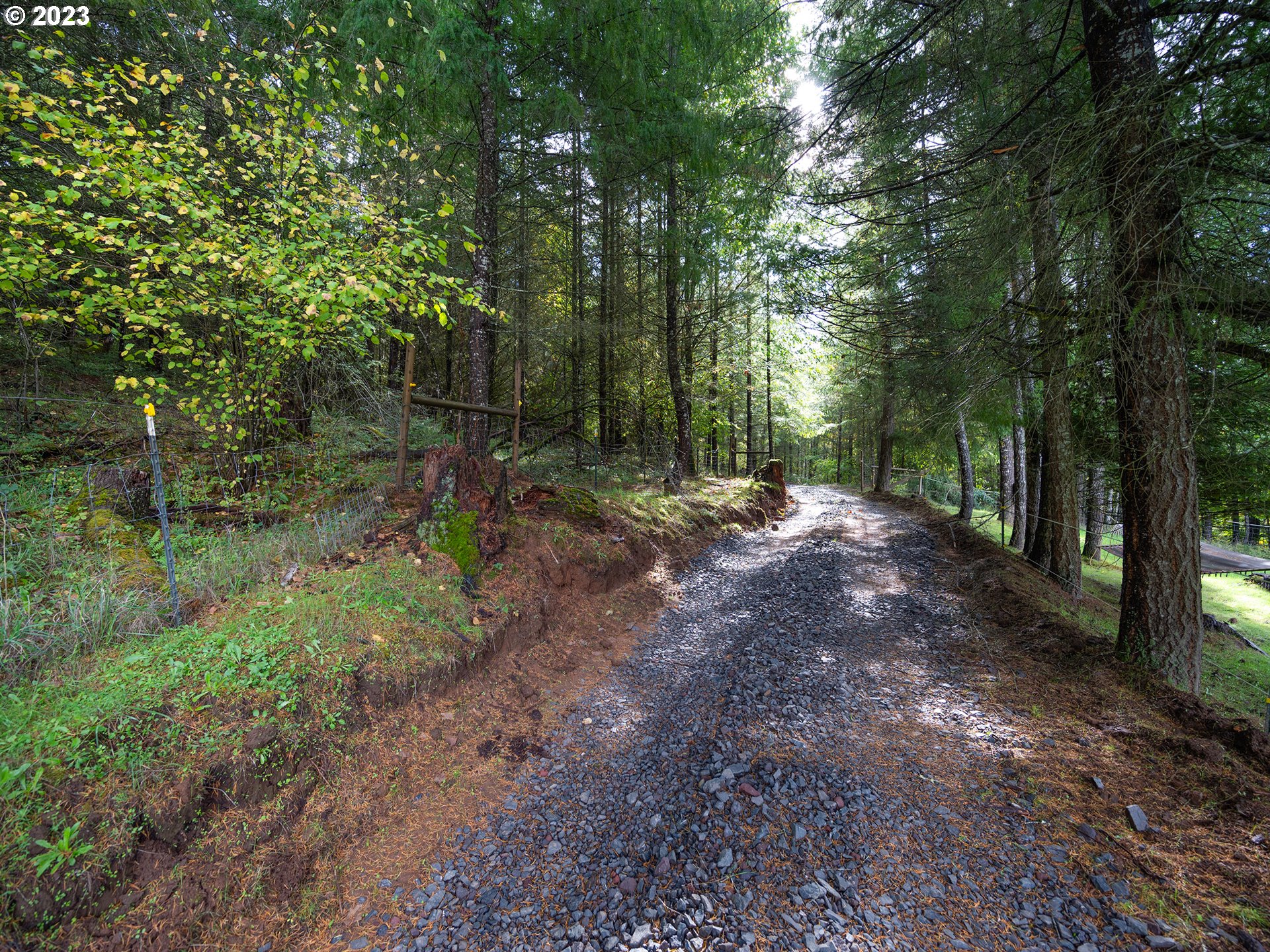 1590 Romie Howard Road Yoncalla, OR 97499 - Photo 44 of 48 a view of a forest with trees in the background