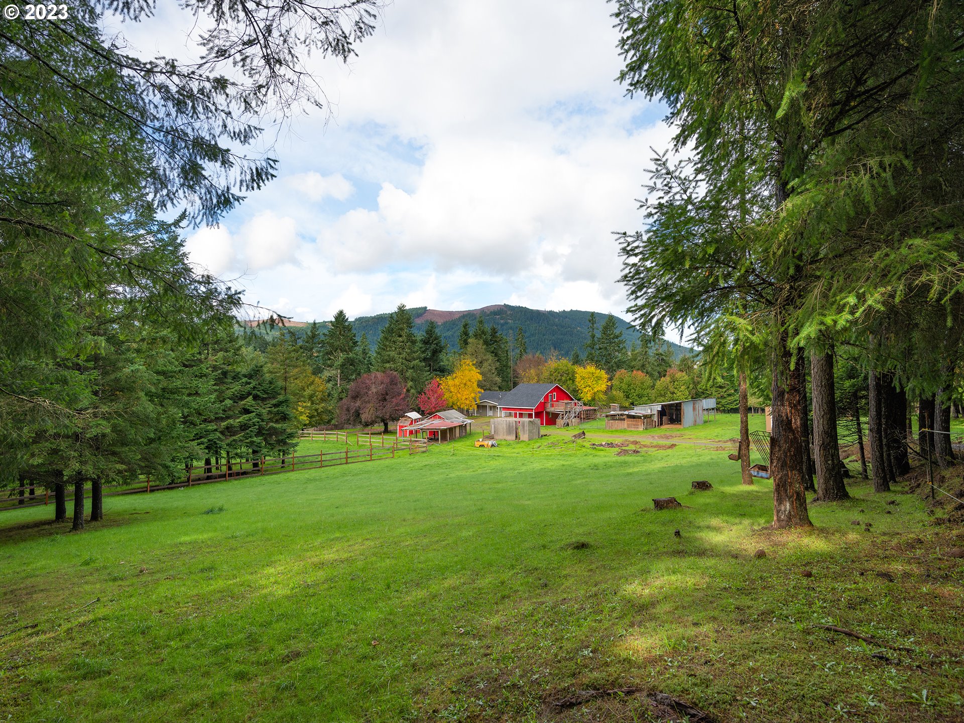 1590 Romie Howard Road Yoncalla, OR 97499 - Photo 45 of 48 a view of a field with plants and trees
