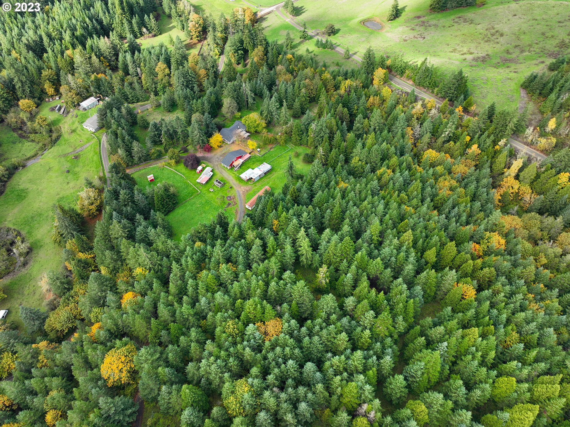 1590 Romie Howard Road Yoncalla, OR 97499 - Photo 5 of 48 a view of a lush green forest with lots of trees