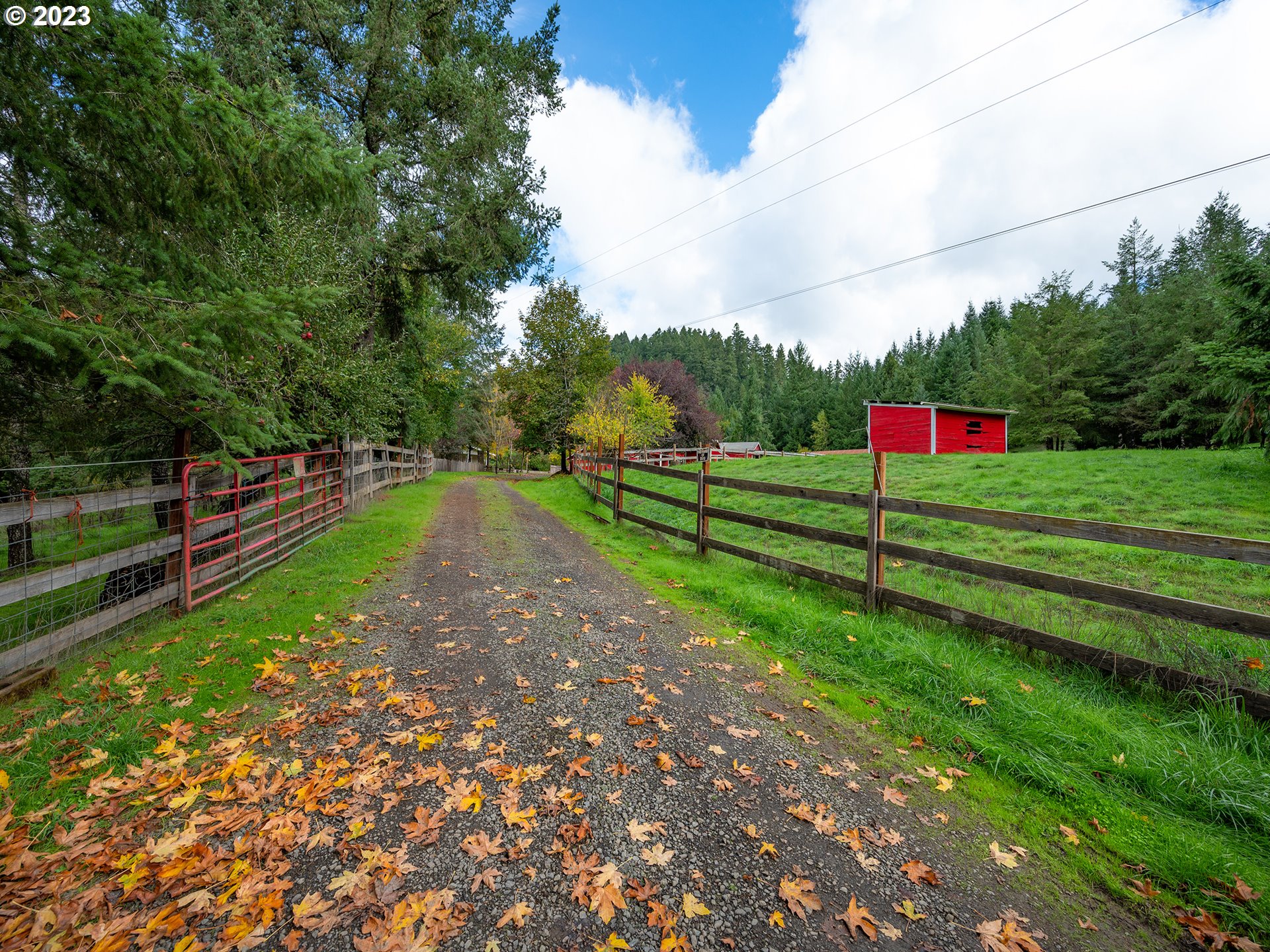 1590 Romie Howard Road Yoncalla, OR 97499 - Photo 6 of 48 a view of a park