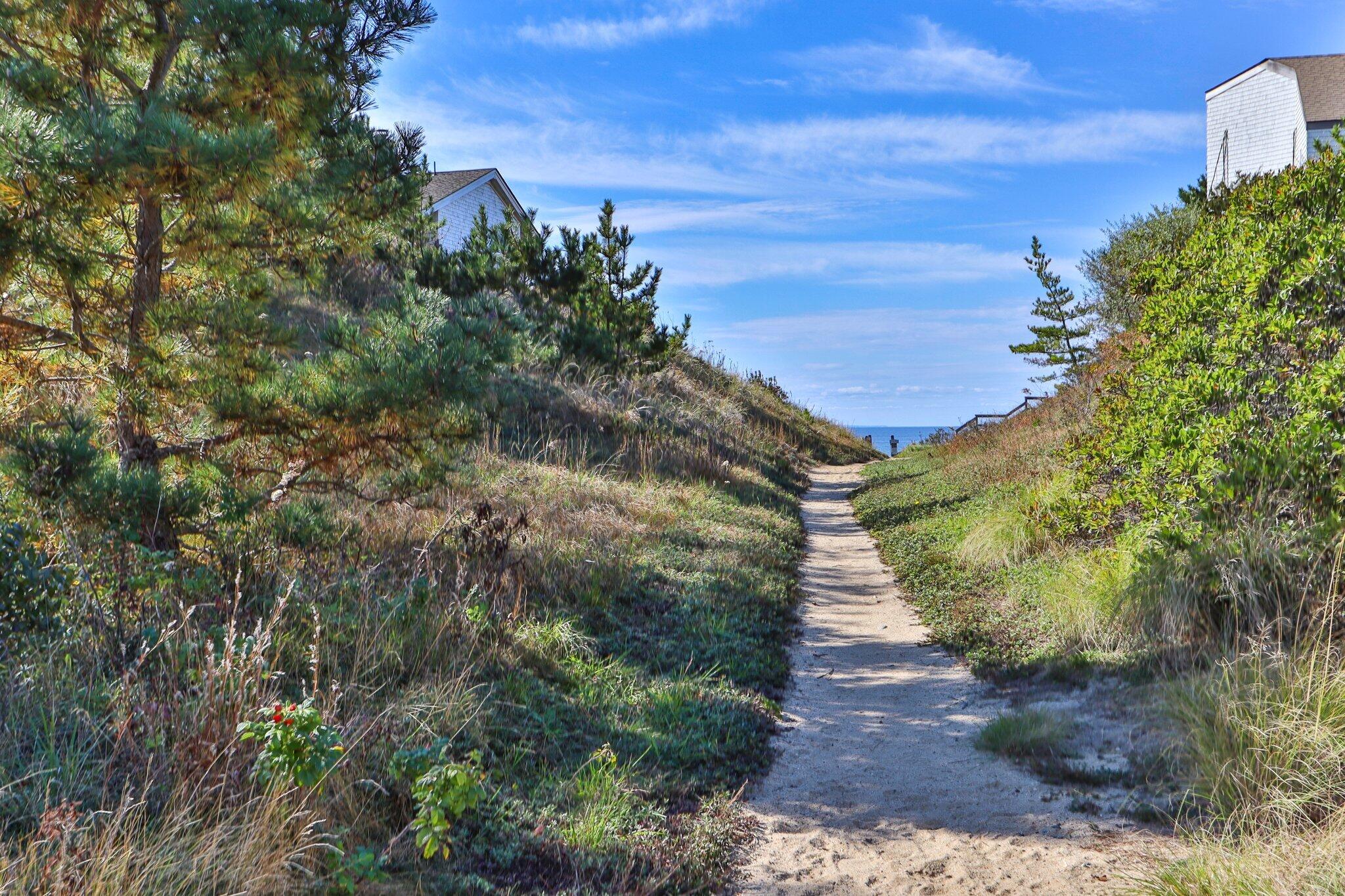 18 Sandpiper Road Truro, MA 02666 - Photo 12 of 19 10-web-or-mls-18-sandpiper-rd