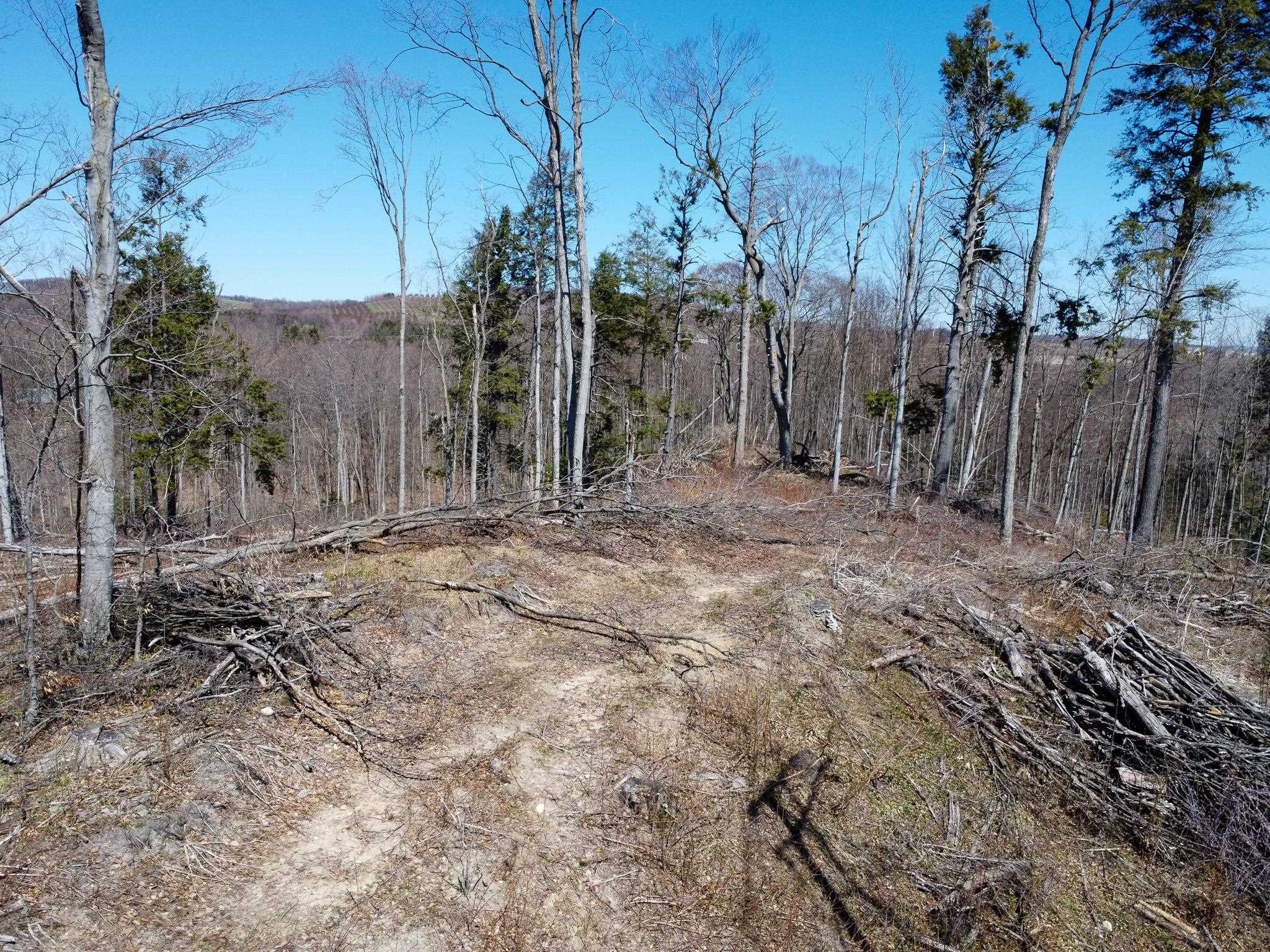 0 East Smiseth Road Suttons Bay, MI 49682 - Photo 45 of 67