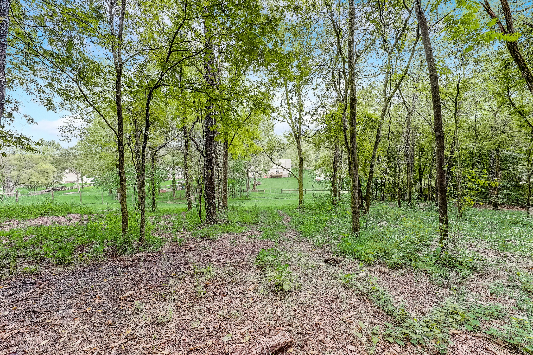1342 Webb Road Lewisburg, TN 37091 - Photo 41 of 42 Gallery Image 41