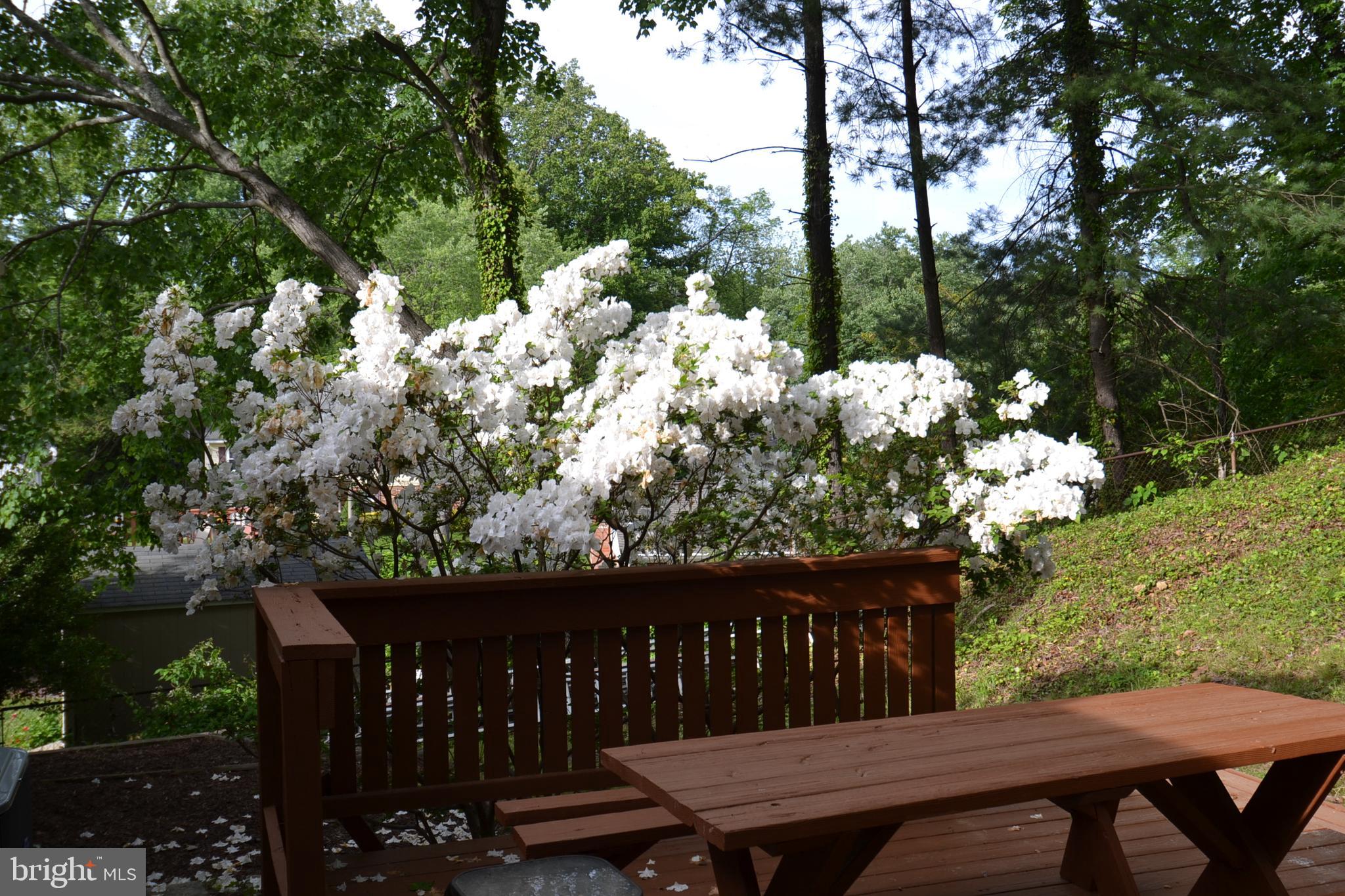 7103 Galgate Drive Springfield, VA 22152 - Photo 45 of 47 a view of a balcony with wooden floor